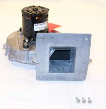 43J57.jpg